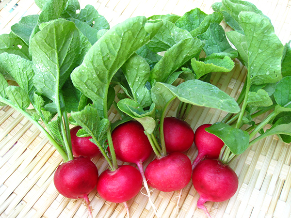 Sử dụng củ cải đường thay thế đường khi nấu súp, làm bánh hoặc sinh tố hoa quả.
