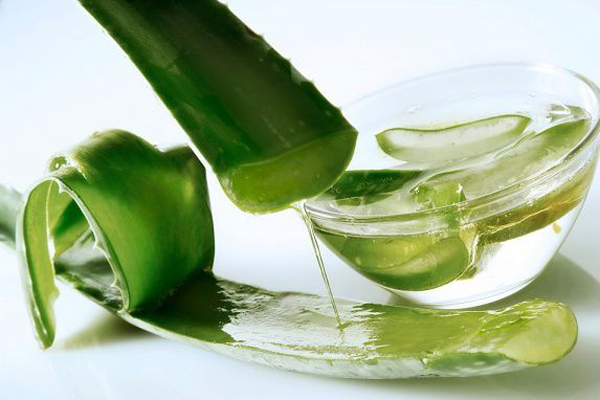 Gel lô hội Thoa gel lô hội lên móng tay từ 15 - 20 phút đều đặn mỗi ngày sẽ giúp làm sáng móng tay.