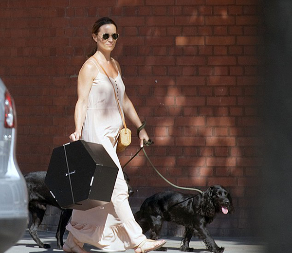 Pippa dẫn theo hai con chó đi dạo và mua sắm trước ngày lễ rửa tội của Hoàng tử Louis. Ảnh: Bushell.
