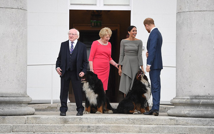 Dog lover Meghan was delighted when the Presidents two Bernese Mountain Dogs Bród and Shadow